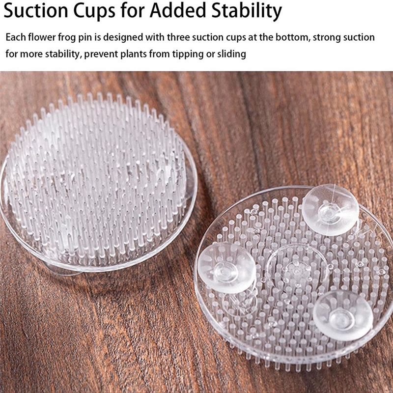 Set Of 12 Clear Plastic Pin Fr - Flower Frog Pin reseña y precio